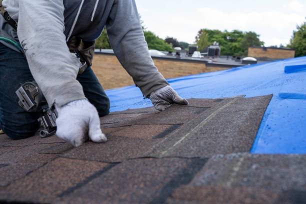 Best Storm Damage Roof Repair  in Crossett, AR